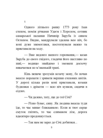 Украдений син: історичне оповідання з останніх років Запорізької Січі