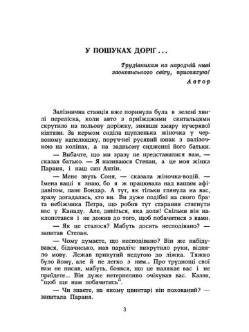 Розквітлі сузір'я