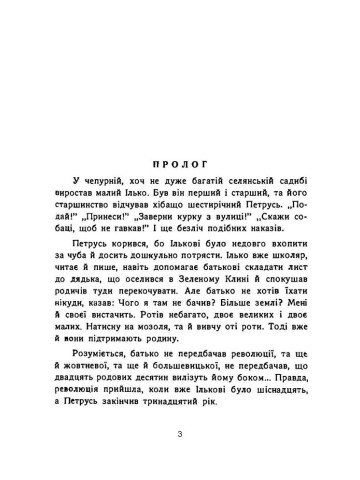 Пригоди Рубенса