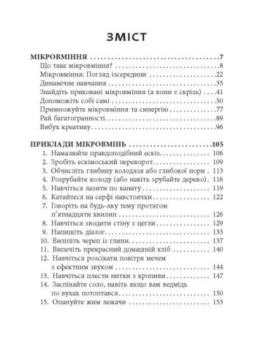 Мікромайстерність