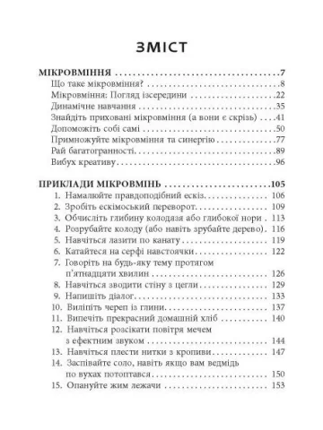 Мікромайстерність